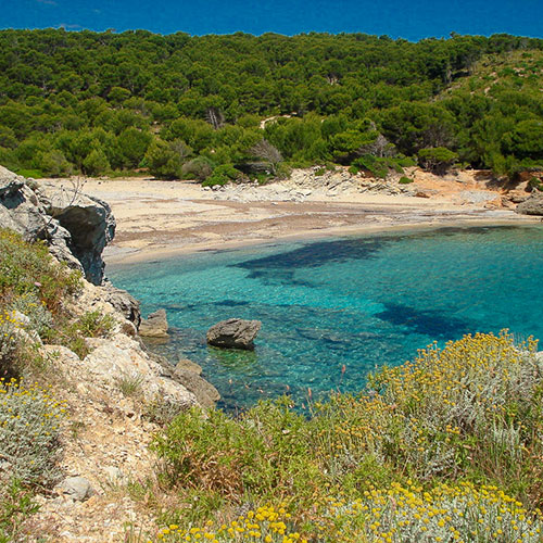 arta nudist beaches