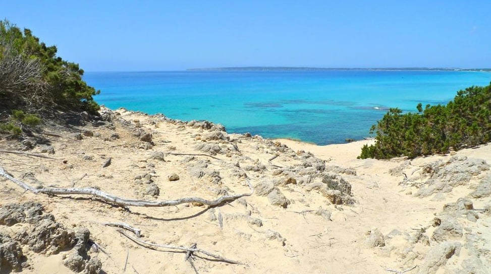 es caragol beach mallorca