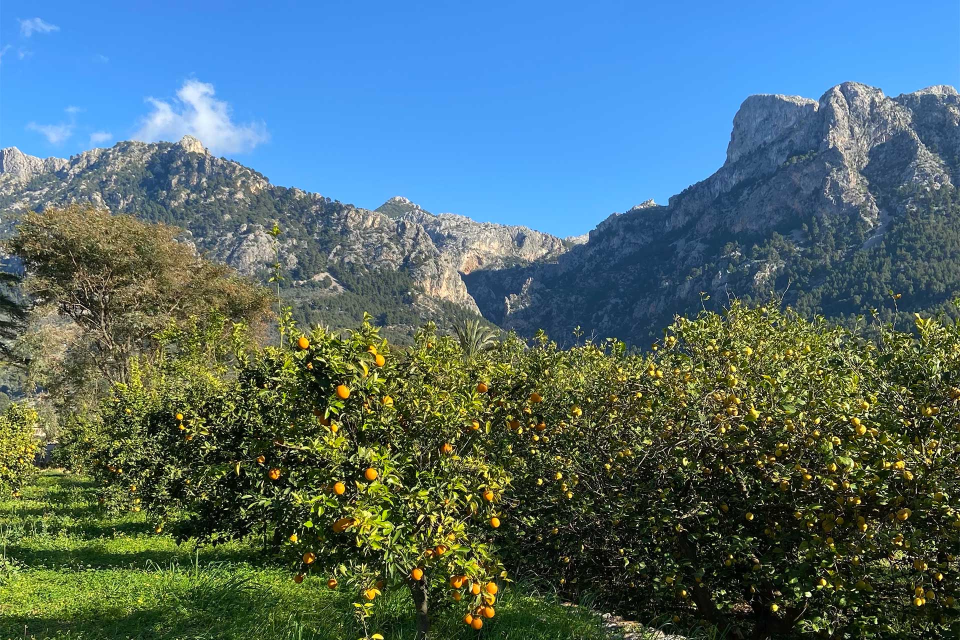 Outdoor Activities to do in Soller, Mallorca.