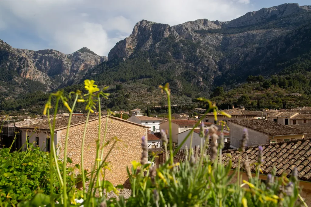 soller penthouse for sale