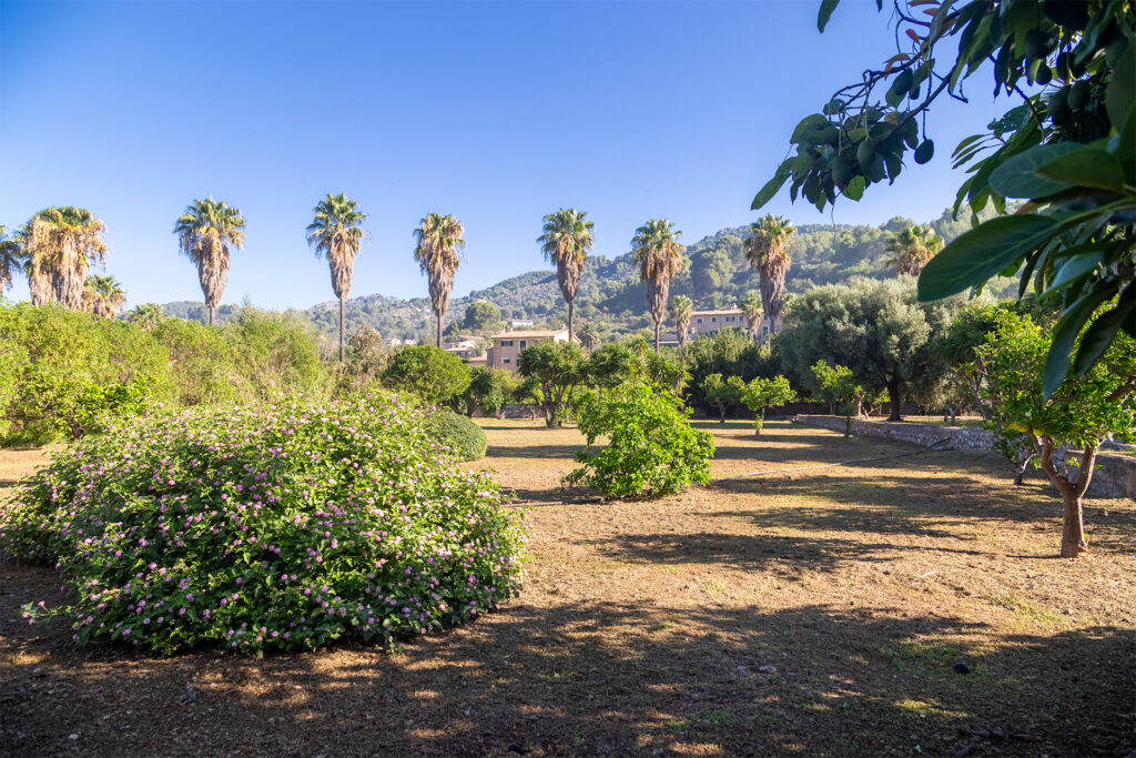 Finca for Sale in Soller Mallorca with Mountain Views