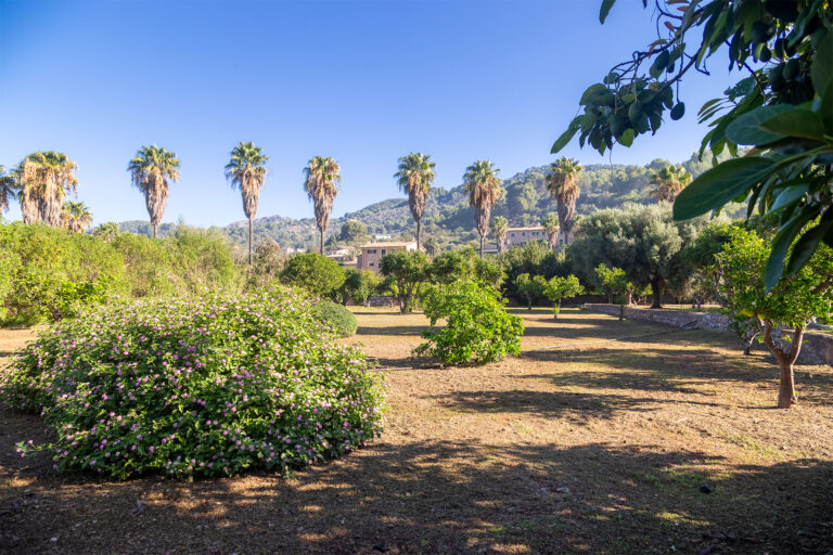 Soller Properties Properties for Sale Soller, Fornalutx, Deia